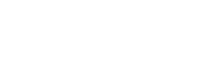 avi logo