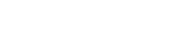 avi logo
